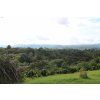 Colombia%20Huila%20 %20El%20Bombo%20%28153%29