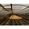 Kolumbie – tmavě pražená káva 100 % Arabica z Tolimy